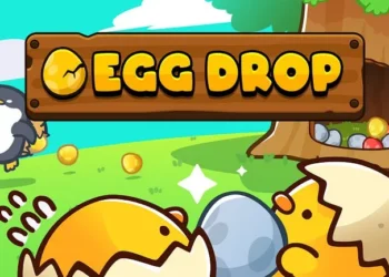 Egg Drop Guide